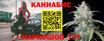 крисы Славгород