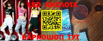 крисы Славгород