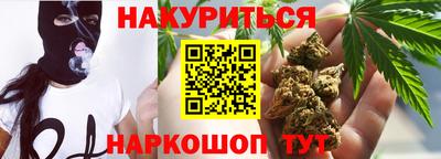 крисы Славгород