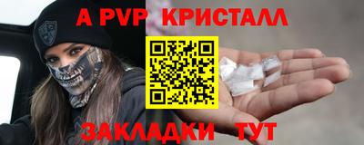 крисы Славгород