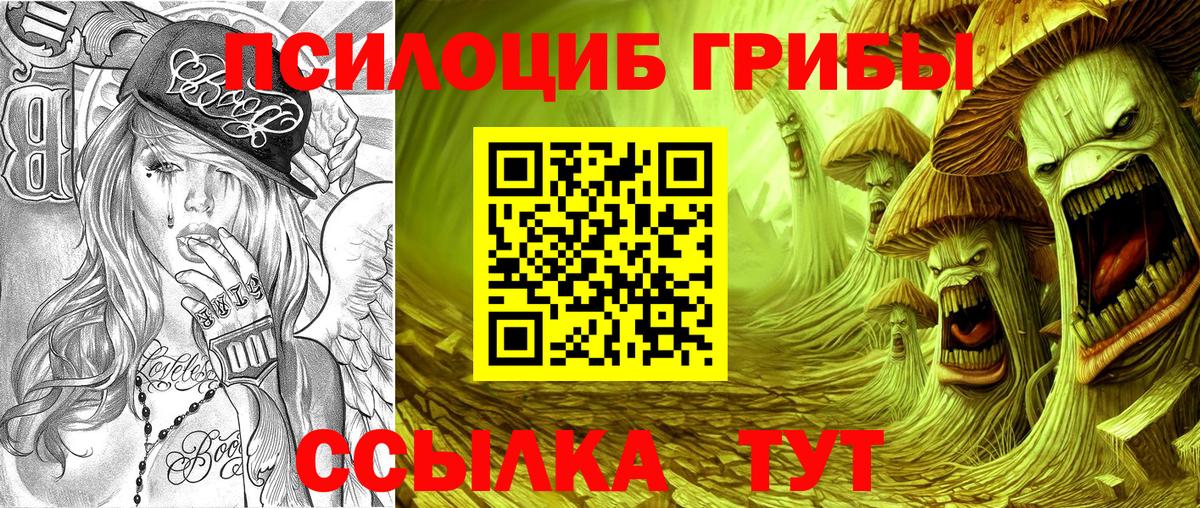 Галлюциногенные грибы Magic Shrooms Подольск