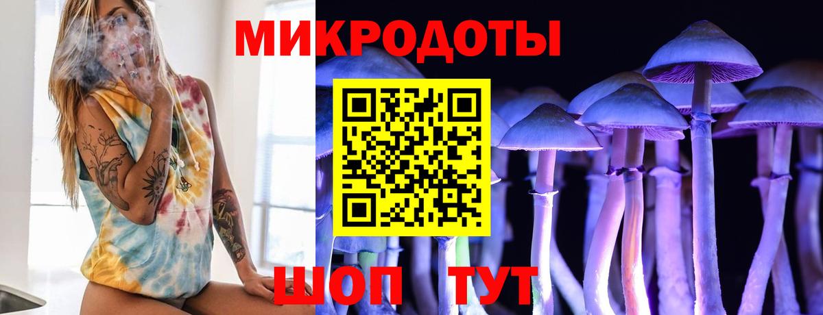 Псилоцибиновые грибы прущие грибы  Псилоцибиновые грибы прущие грибы  Подольск  Вход с VPN 