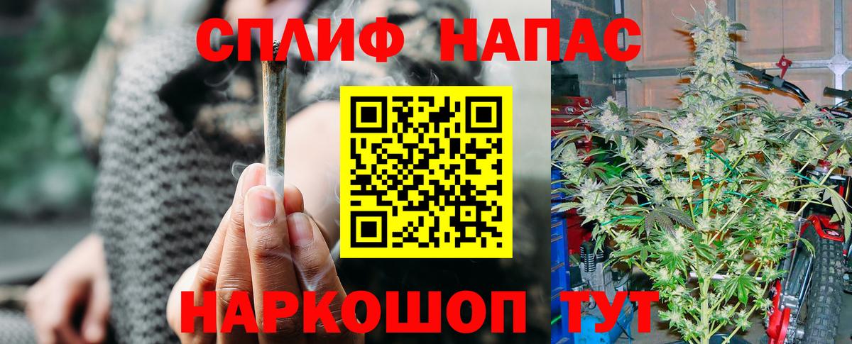 Конопля семена  Бошки марихуана семена  Подольск  Вход с VPN  Шишки марихуана Amnesia 